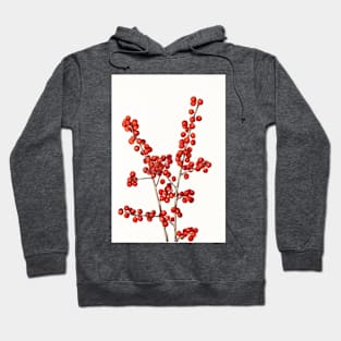 Winterberry - Botanical Illustration Hoodie